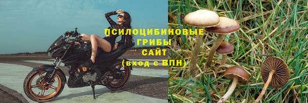 твердый Волоколамск