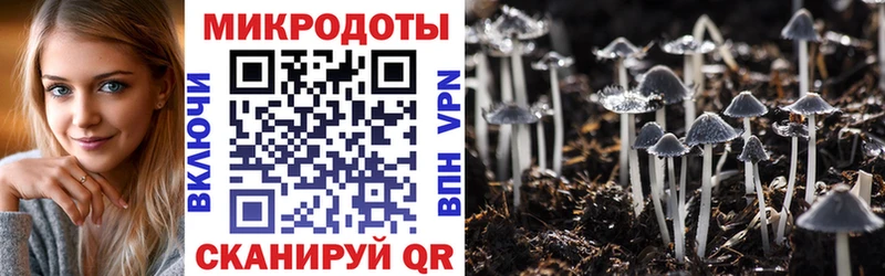 Псилоцибиновые грибы MAGIC MUSHROOMS  Купить  Новокузнецк 