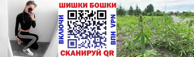 Купить закладки  Новокузнецк  Бошки Шишки THC 21% 